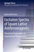 Bastien Dalla Piazza - Excitation Spectra of Square Lattice Antiferromagnets