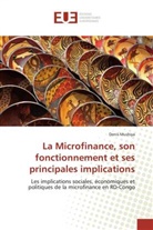 Denis Mushiya, Mushiya-d - La microfinance, son
