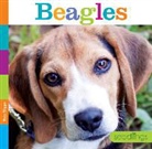 Kate Riggs - Beagles