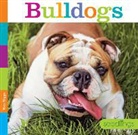Kate Riggs - Bulldogs