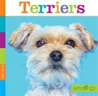 Laura K. Murray - Terriers