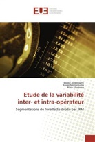 Elodie Ambrosetti, Alain Filograna, Xavier Montezuma - Etude de la variabilite inter et