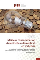 Ammar Derbali, Riadh Gamoudi, Saber Hzami - Meilleur consommation d