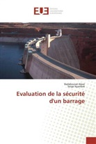 Badabouwè Alawi, Serge Nyambré - Evaluation de la securite d un