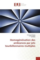 Mohamed Braikia, Ali Khelil, Larbi Loukarfi - Homogeneisation des ambiances par