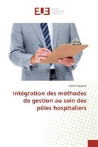 Celine Giganon, Giganon-c - Integration des methodes de