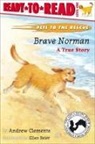 Andrew Clements, Ellen Beier - Brave Norman