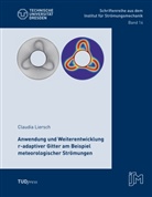 Claudia Liersch - Anwendung und Weiterentwicklung r-adaptiver Gitter am Beispiel meteorologischer Strömungen