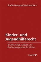 Martina Staffe-Hanacek, Johann Weitzenböck - Kinder- und Jugendhilferecht (f. Österreich)