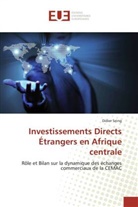 Didier Seing, Seing-d - Investissements directs etrangers