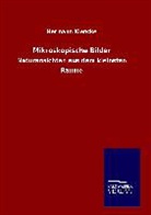 Hermann Klencke - Mikroskopische Bilder