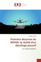 Rodrigue Puepi, Puepi-r - Premiere decennie du nepad: la