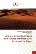 Mahamadou Salifo Karimou Barké, Mahamadou Salifou Karimou Barké, Ambo Karimou J M, Ambouta Karimou J. M., Ambouta Karimou J.M., Benoît Sarr - Analyse des phenomenes