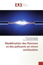 James Tony Agbebavi, James Tonyi Agbebavi, Marcel Brice Obounou Akong, Olivier Thierr Sosso Mayi, Olivier Thierry Sosso Mayi - Modelisation des flammes et des
