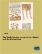 J Henle, J. Henle - Das Wachstum des menschlichen Nagels und des Pferdehufes