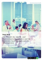 Emre Berk - Der Wandel der Arbeits- und Unternehmensorganisation und die konkreten Auswirkungen auf den Arbeitsprozess