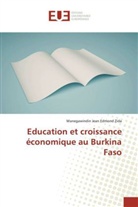 Manegawindin Jean Edmond Zida, Zida-m - Education et croissance
