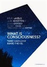 Larry Dossey, Larry Dossey M D, Larry Dossey M. D., Jean Houston, Jean Houston Ph. D., Ervin Laszlo... - What Is Consciousness?