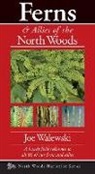Joe Walewski - Ferns & Allies of the North Woods