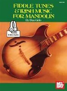 Dan Gelo, Dan Gelo - Fiddle Tunes & Irish Music for Mandolin