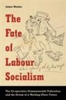 Captain James Naylor, James Naylor - Fate of Labour Socialism