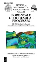 Lawrence Anovitz, Lawrence M. Anowitz, Simo Emmanuel, Simon Emmanuel, Steefel, Carl Steefel... - Pore Scale Geochemical Processes