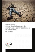 Mohammed Layelmam, Layelmam-m - Calcul des indicateurs de