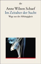 Anne Wilson Schaef - Im Zeitalter der Sucht