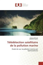 Abdelatif Hassini, Zakary Mihoub, Zakarya Mihoub - Teledetection satellitaire de la