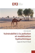 Zakaria Zgourdah, Zgourdah-z - Vulnerabilite a la pollution et