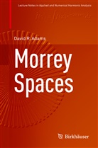 David Adams, David R Adams, David R. Adams - Morrey Spaces
