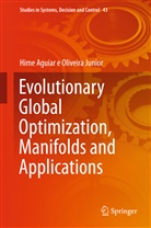 Hime Aguiar e Oliveira, Hime Aguiar e Oliveira Junior - Evolutionary Global Optimization, Manifolds and Applications