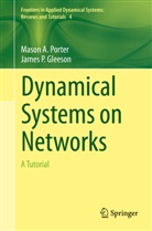 James Gleeson, James P. Gleeson, Maso Porter, Mason Porter, Mason A. Porter - Dynamical Systems on Networks