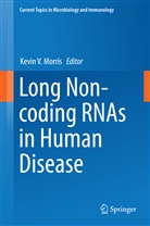 Kevin V. Morris, Kevi V Morris, Kevin V Morris - Long Non-coding RNAs in Human Disease