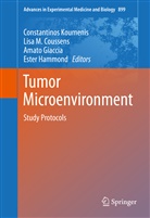 Lisa Coussens, Lisa M. Coussens, Amato Giaccia, Amato Giaccia et al, Ester Hammond, Constantinos Koumenis... - Tumor Microenvironment