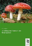 Paul Sydow - Anleitung zum Sammeln der Kruptogamen