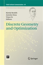 Karoly Bezdek, Károly Bezdek, Antoin Deza, Antoine Deza, Yinyu Ye - Discrete Geometry and Optimization