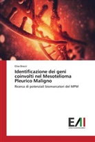 Elisa Bracci - Identificazione dei geni coinvolti nel Mesotelioma Pleurico Maligno