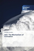 Sokhrab Ismailov - Hail. The Mechanism of Formation