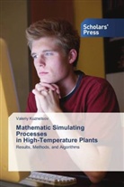Valeriy Kuznetsov - Mathematic Simulating Processes in High-Temperature Plants