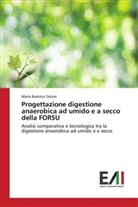 Maria Beatrice Ostuni - Progettazione digestione anaerobica ad umido e a secco della FORSU