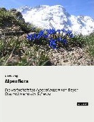 Gustav Hegi - Alpenflora