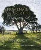 Andrea Jones, Noël Kingsbury - Homenaje a los árboles : una celebración del asombro, el misterio, la belleza y la utilidad de los árboles
