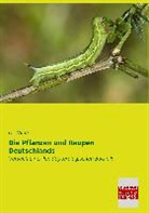 O Wilde, O. Wilde - Die Pflanzen und Raupen Deutschlands