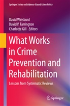 David P. Farrington, Charlotte Gill, Davi P Farrington, David P Farrington, David Weisburd - What Works in Crime Prevention and Rehabilitation