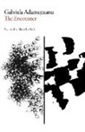 GABRIEL ADAMESTEANU, Gabriela Adamesteanu, Gabriela/ Blyth Adamesteanu - The Encounter