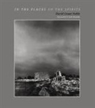 David Grant Noble - In the Places of the Spirits