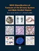 International Agency for Research on Can, International Agency for Research on Cancer (COR)/, Who Classification of Tumours Editorial, Peter A. Humphrey, Holger Moch - Urinary System and Male Genital Organs