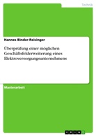 Hannes Binder-Reisinger - Überprüfung einer möglichen Geschäftsfelderweiterung eines Elektroversorgungsunternehmens