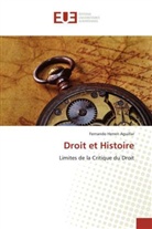 Aguillar-f, Fernando Herren Aguillar - Droit et histoire
